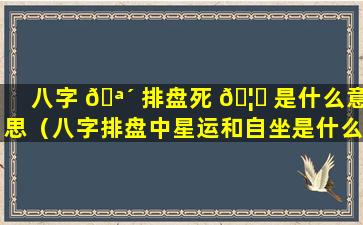 八字 🪴 排盘死 🦉 是什么意思（八字排盘中星运和自坐是什么意思）